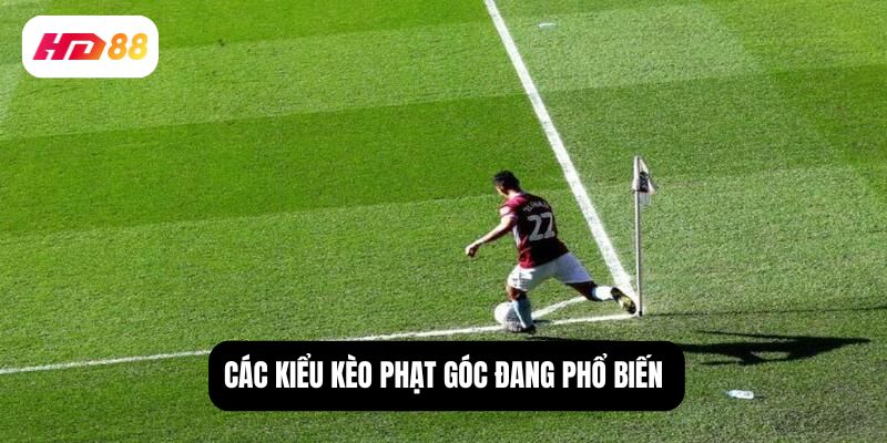 cách xem kèo phạt góc