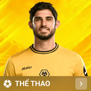 Thể thao HD88
