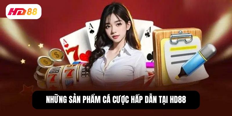 Về chúng tôi